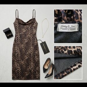 Leopard Print Dress